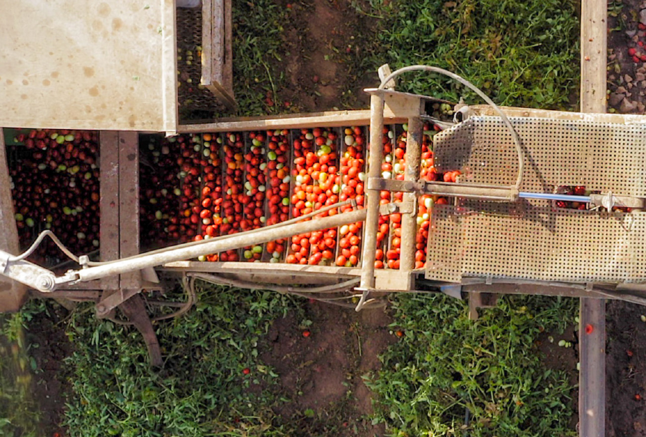 farming machinery gathering fruit