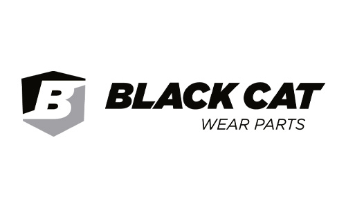 Black Cat
